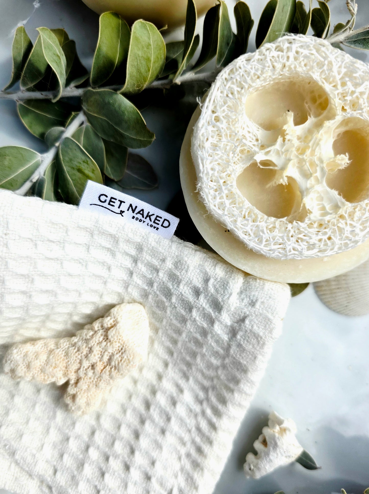 Cucumber + Lime Loofah Bars