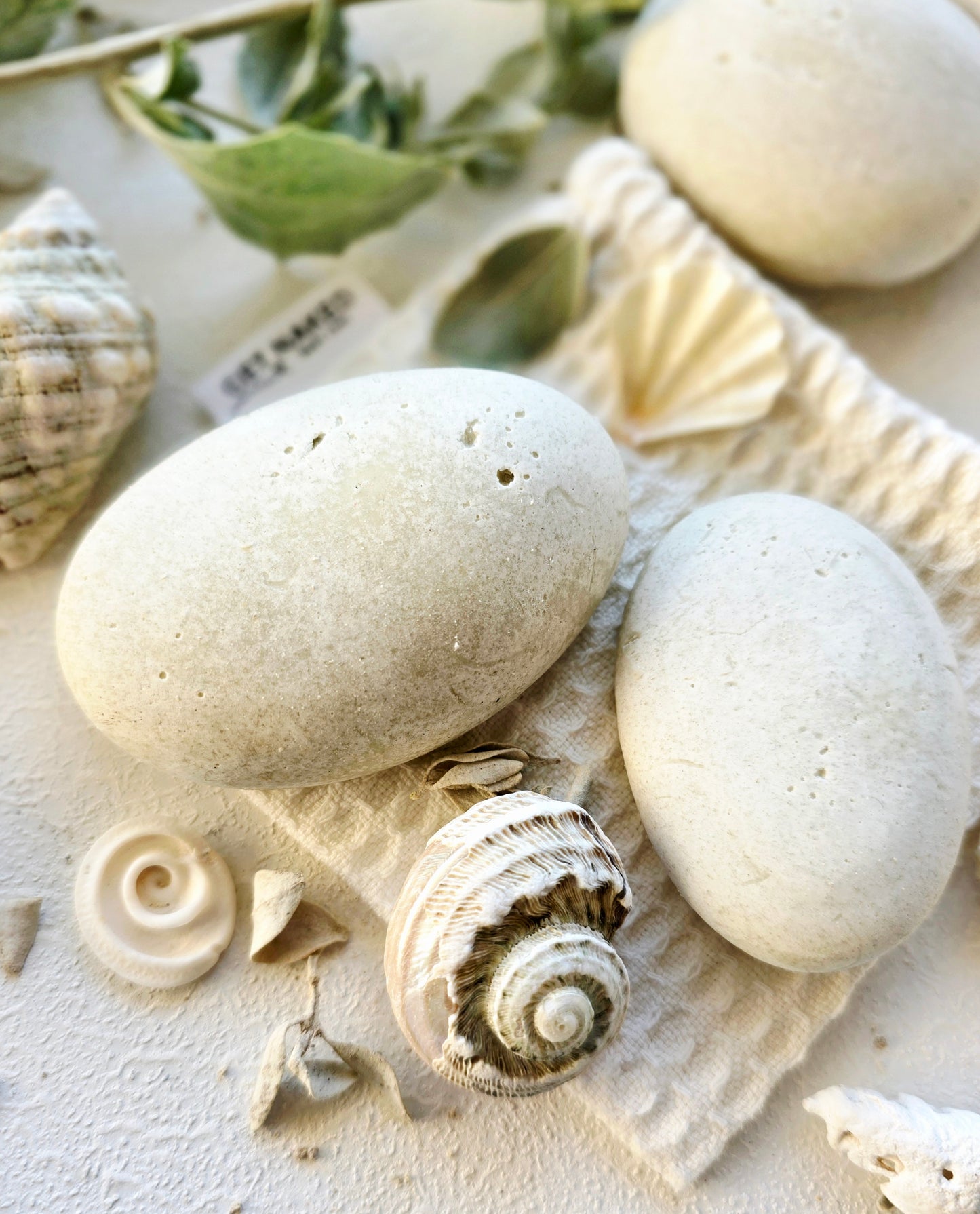 Salt Bush Pebble Cleansing Bars