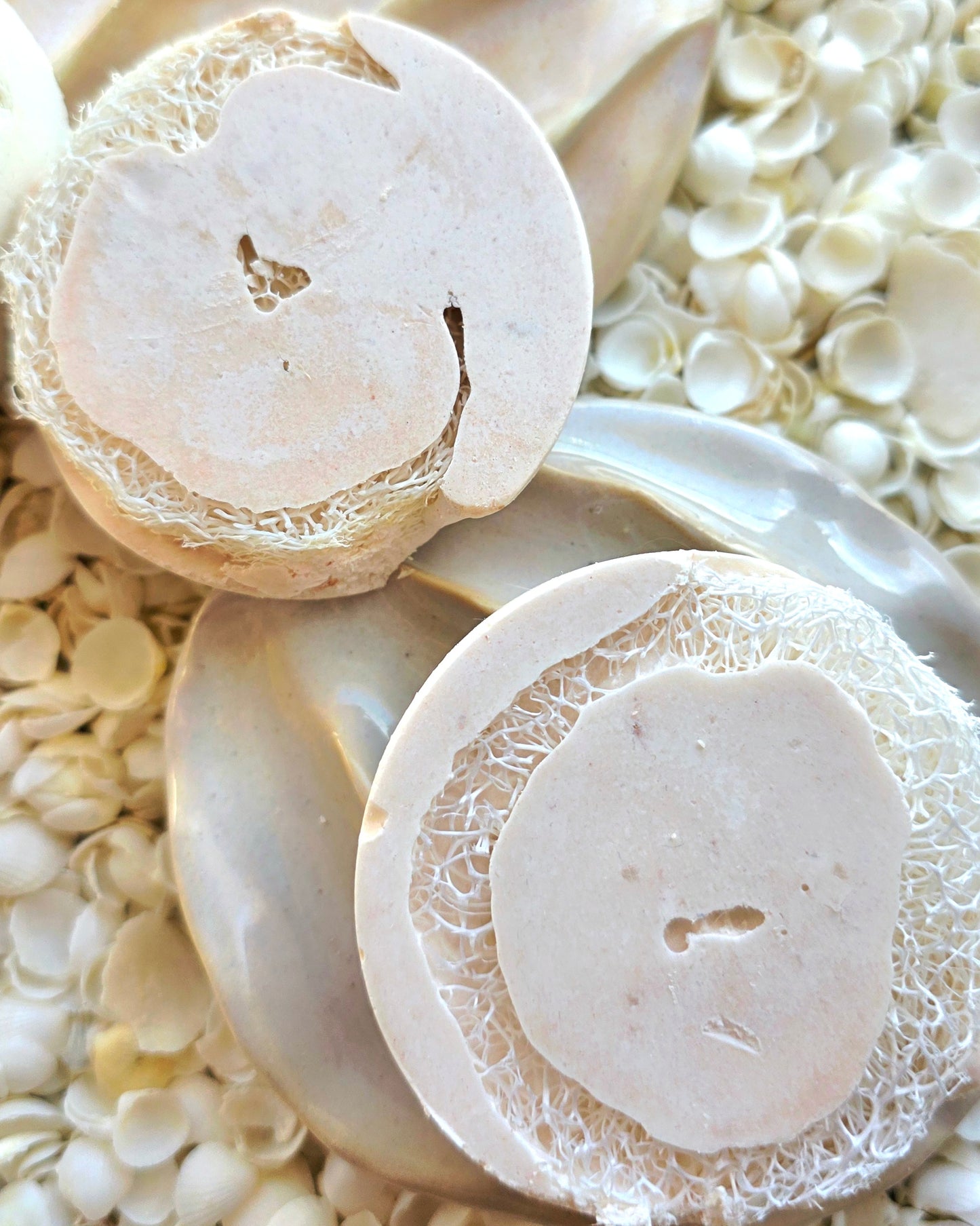 Ningaloo Glow — Twin Wildcrafted Loofah Cleansers