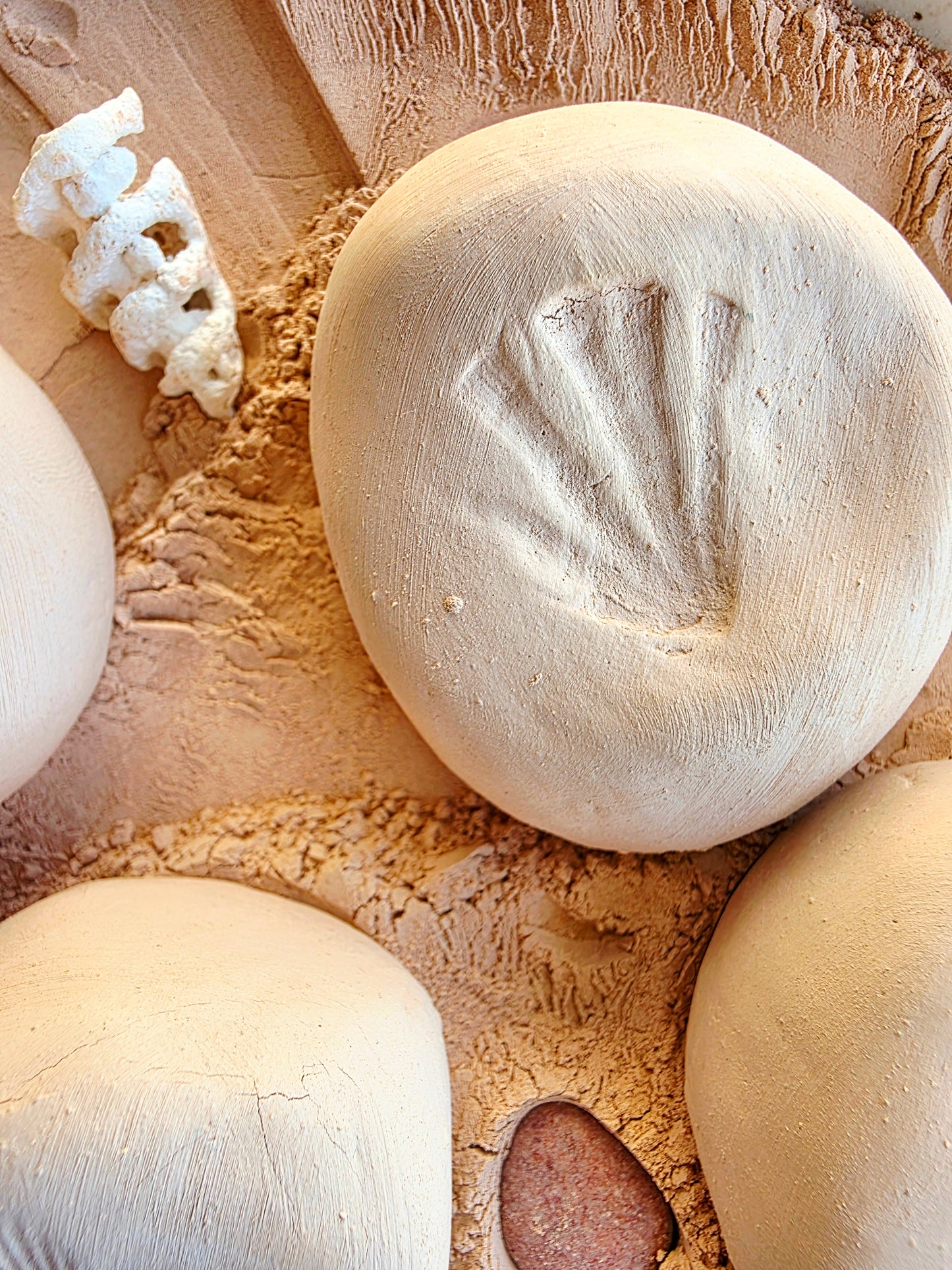 Kakadu Pebble — Solid Clay Face Mask