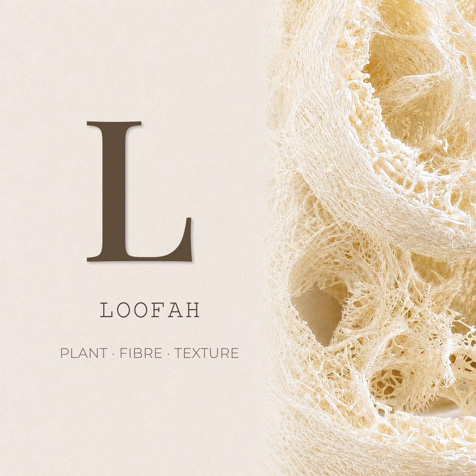 Natural loofah plant fibre texture used in Get Naked Australian skincare and exfoliating loofah cleansers.