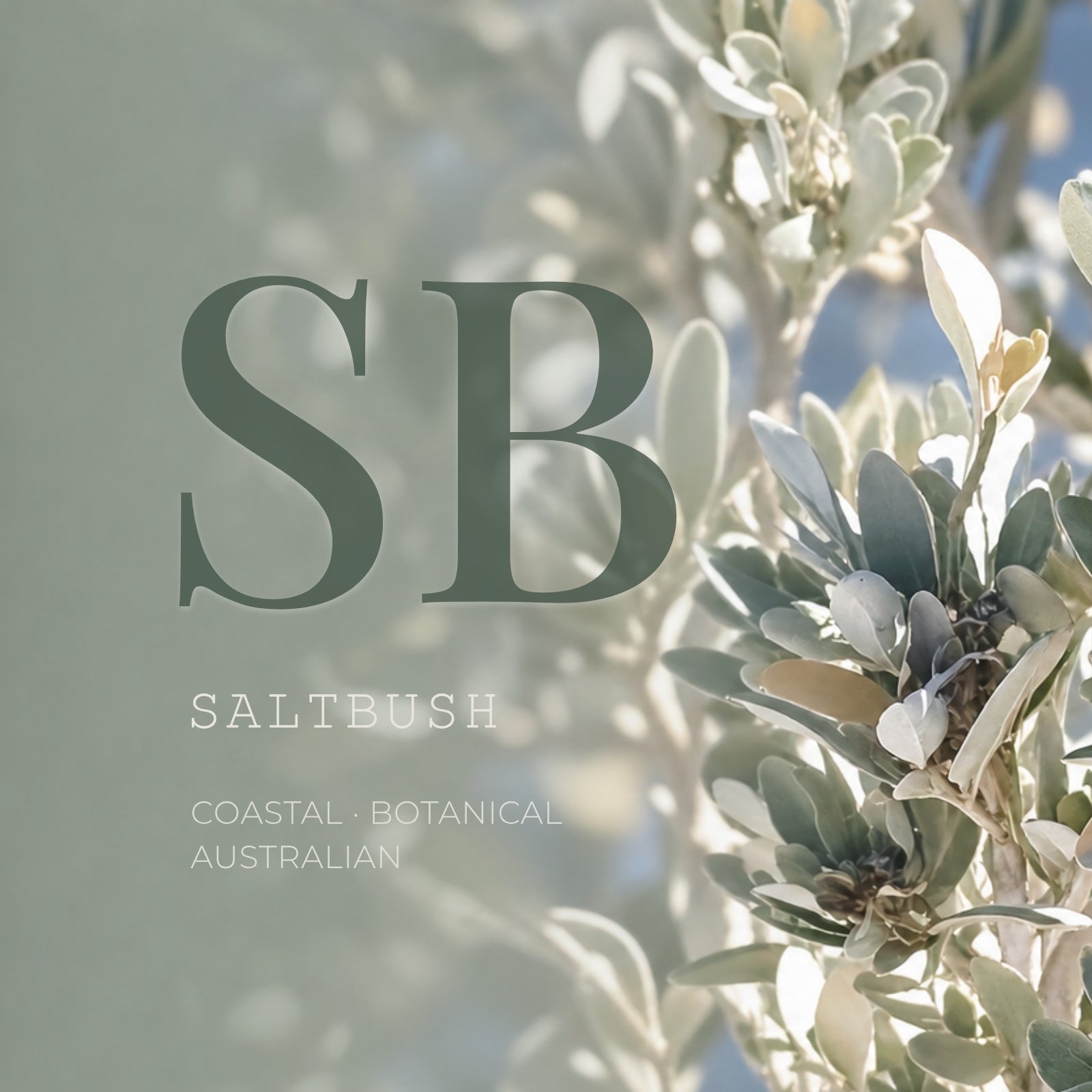 Australian saltbush botanical used in Get Naked coastal skincare