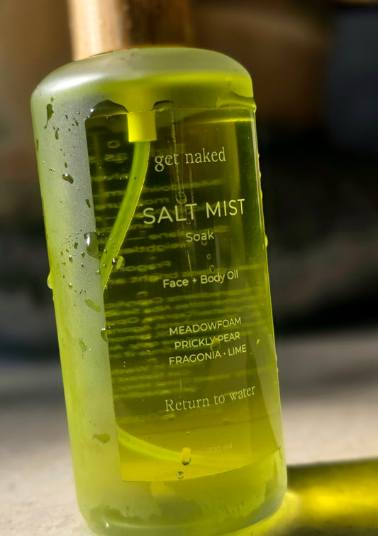 SALT MIST