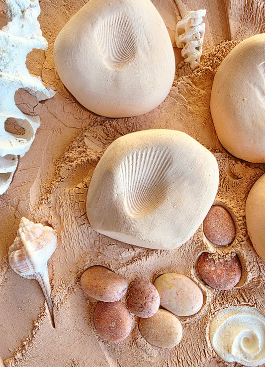 Kakadu Pebble — Solid Clay Face Mask