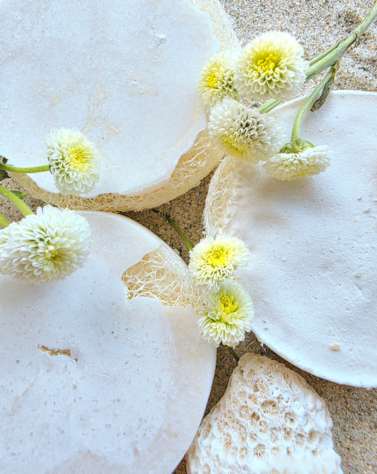 Hellfire Bay Twin Wild Crafted Loofah Cleansers