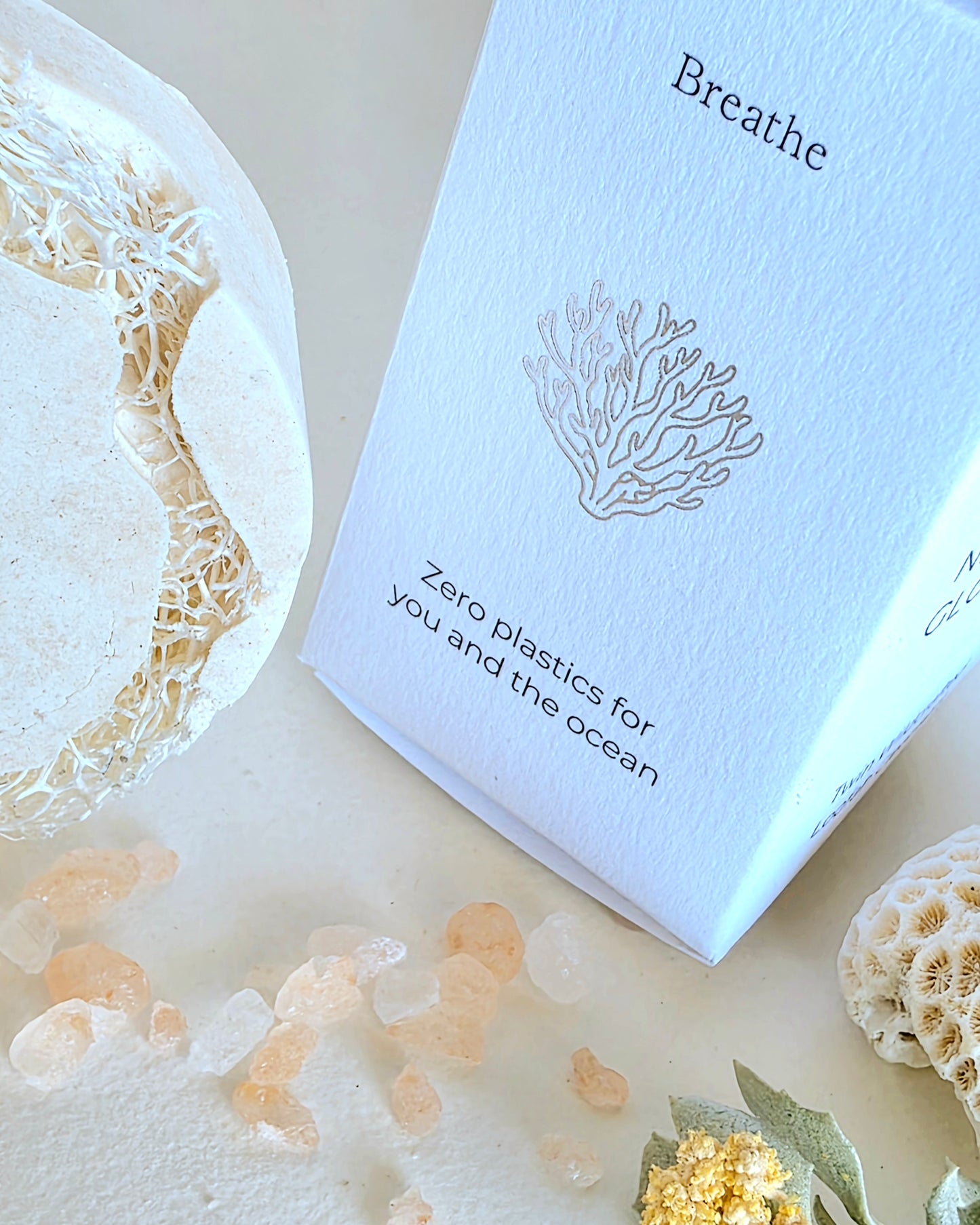Ningaloo Glow — Twin Wildcrafted Loofah Cleansers